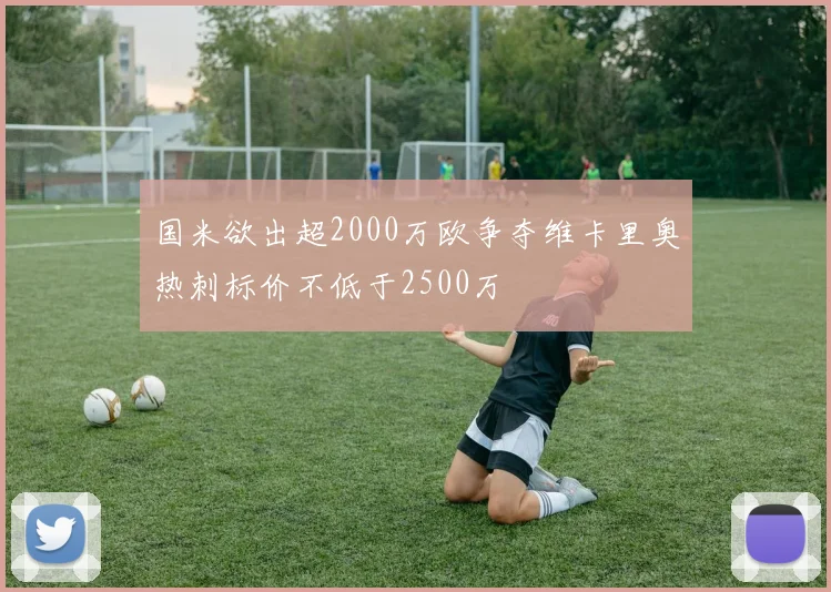 国米欲出超2000万欧争夺维卡里奥热刺标价不低于2500万